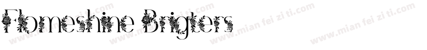 Flomeshine Brigters字体转换